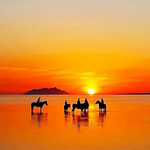 Sunrise Stagnone Couette-café